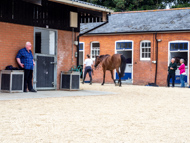 EL160923-105 - Emma Lavelle Stable Visit